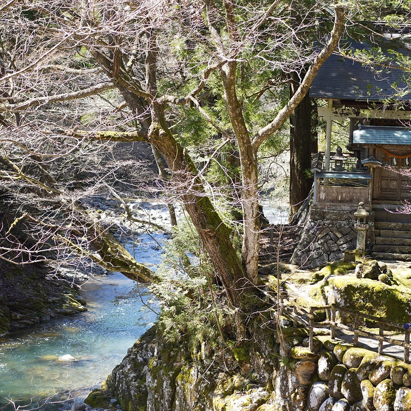 ふるさとの恵みを、未来へ